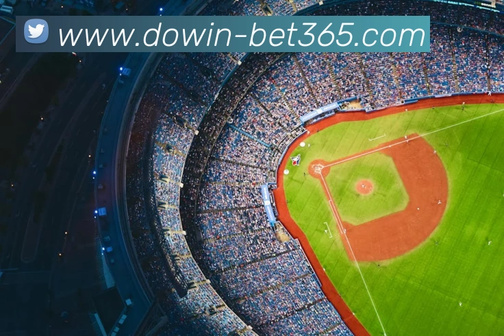 bet365平台生态图